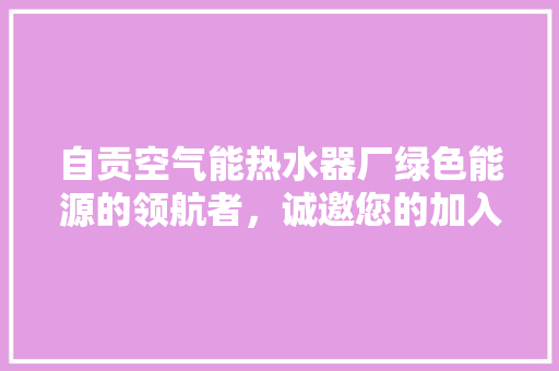 自贡空气能热水器厂绿色能源的领航者，诚邀您的加入