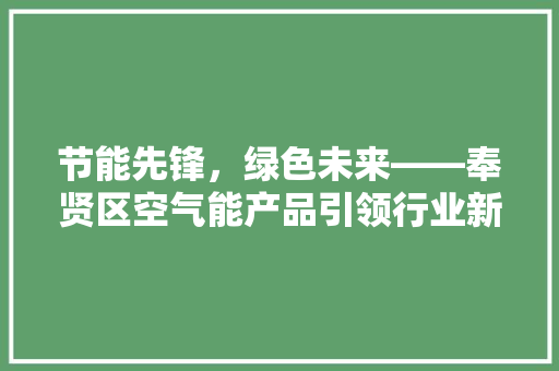 节能先锋，绿色未来——奉贤区空气能产品引领行业新潮流