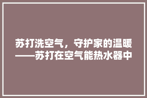 苏打洗空气，守护家的温暖——苏打在空气能热水器中的应用