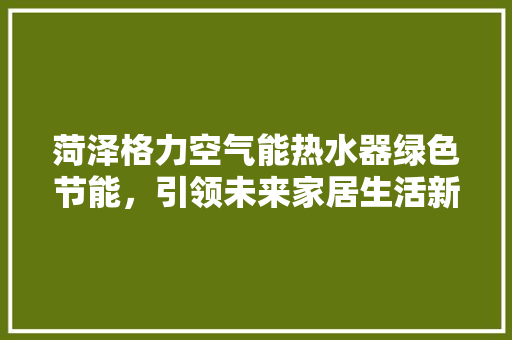菏泽格力空气能热水器绿色节能，引领未来家居生活新风尚