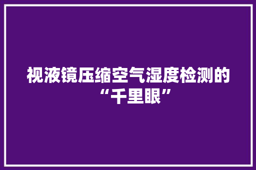 视液镜压缩空气湿度检测的“千里眼”