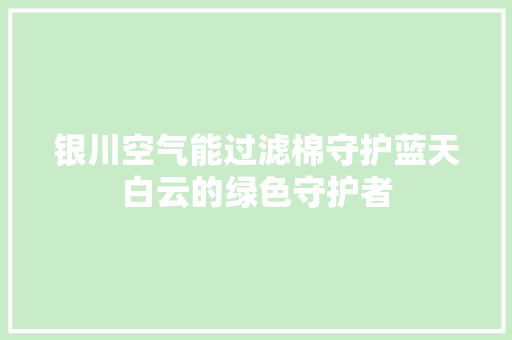 银川空气能过滤棉守护蓝天白云的绿色守护者