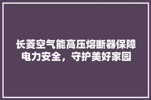 长菱空气能高压熔断器保障电力安全，守护美好家园