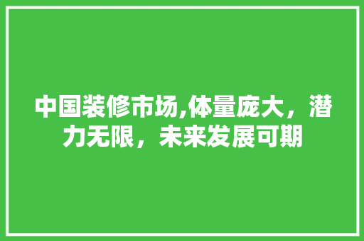 中国装修市场,体量庞大，潜力无限，未来发展可期 中国装修市场,体量庞大，潜力无限，未来发展可期 汽车维修