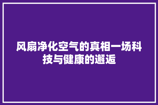 风扇净化空气的真相一场科技与健康的邂逅