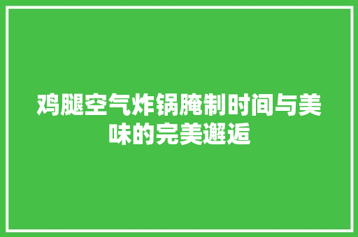 鸡腿空气炸锅腌制时间与美味的完美邂逅 综合便民