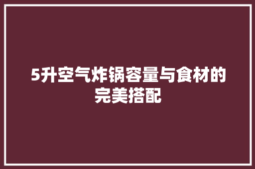 5升空气炸锅容量与食材的完美搭配