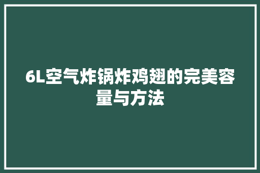 6L空气炸锅炸鸡翅的完美容量与方法