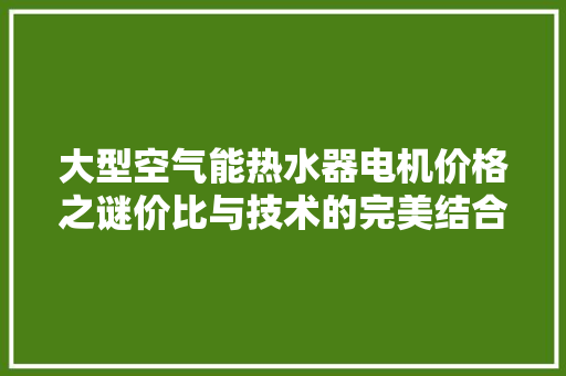 大型空气能热水器电机价格之谜价比与技术的完美结合