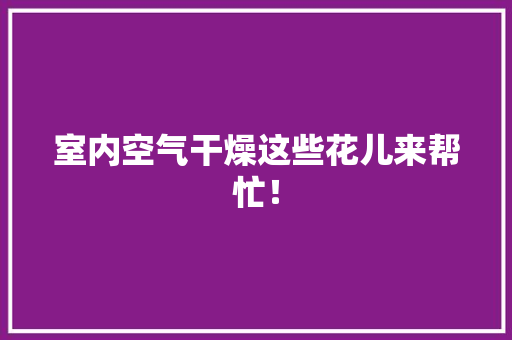 室内空气干燥这些花儿来帮忙！