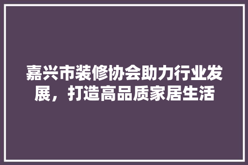 嘉兴市装修协会助力行业发展，打造高品质家居生活 嘉兴市装修协会助力行业发展，打造高品质家居生活 厨房维修