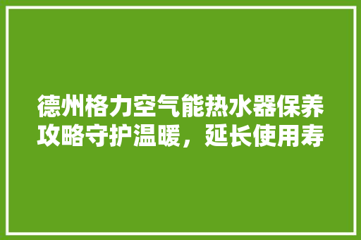 德州格力空气能热水器保养攻略守护温暖，延长使用寿命