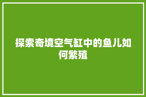 探索奇境空气缸中的鱼儿如何繁殖
