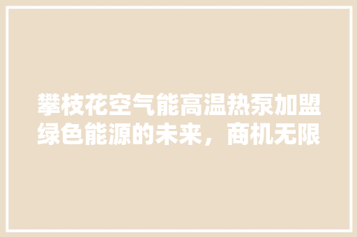攀枝花空气能高温热泵加盟绿色能源的未来，商机无限