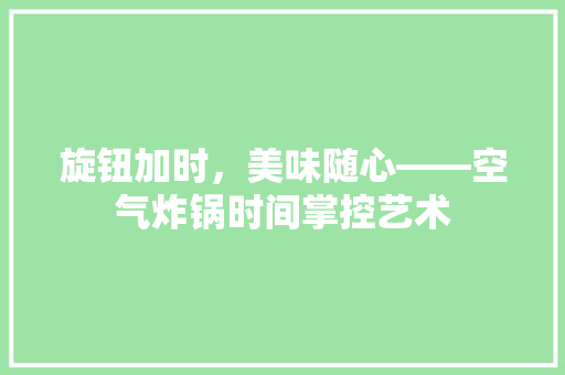 旋钮加时，美味随心——空气炸锅时间掌控艺术