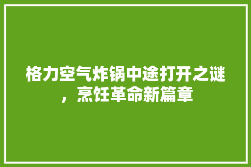 格力空气炸锅中途打开之谜，烹饪革命新篇章