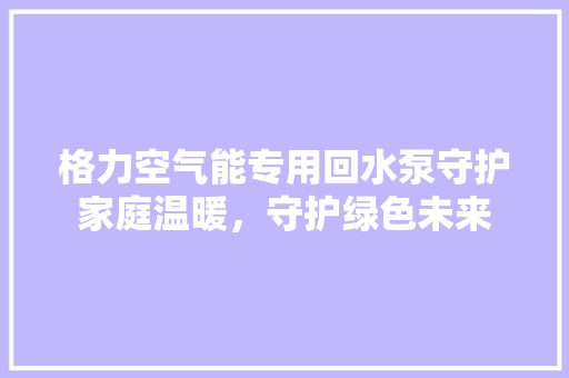 格力空气能专用回水泵守护家庭温暖，守护绿色未来