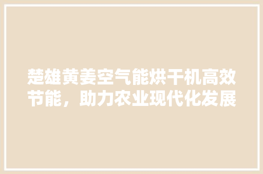 楚雄黄姜空气能烘干机高效节能，助力农业现代化发展