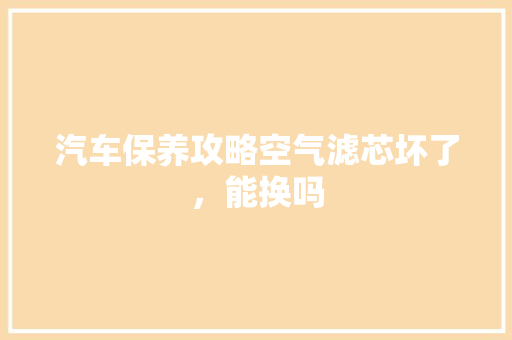 汽车保养攻略空气滤芯坏了，能换吗