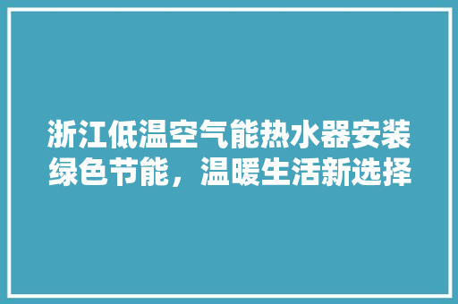 浙江低温空气能热水器安装绿色节能，温暖生活新选择 厨房维修