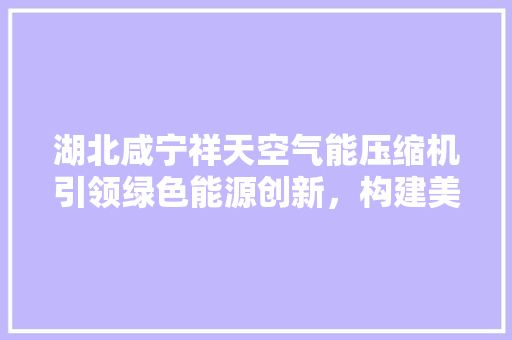 湖北咸宁祥天空气能压缩机引领绿色能源创新，构建美好未来