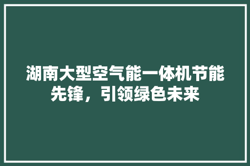 湖南大型空气能一体机节能先锋，引领绿色未来 厨房维修
