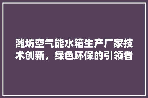 潍坊空气能水箱生产厂家技术创新，绿色环保的引领者