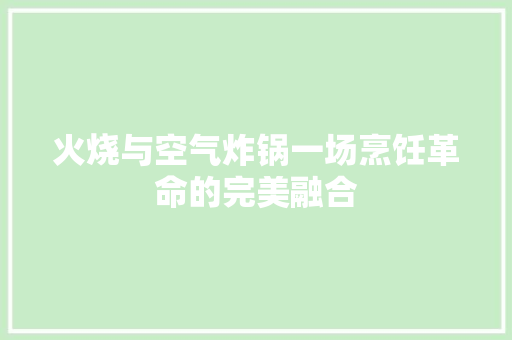 火烧与空气炸锅一场烹饪革命的完美融合