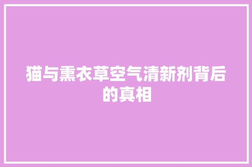 猫与熏衣草空气清新剂背后的真相
