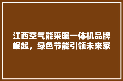 江西空气能采暖一体机品牌崛起，绿色节能引领未来家居生活