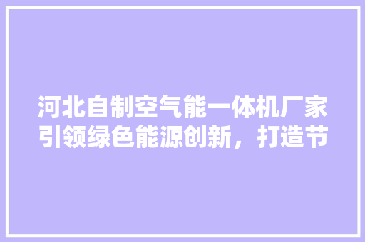 河北自制空气能一体机厂家引领绿色能源创新，打造节能环保新标杆