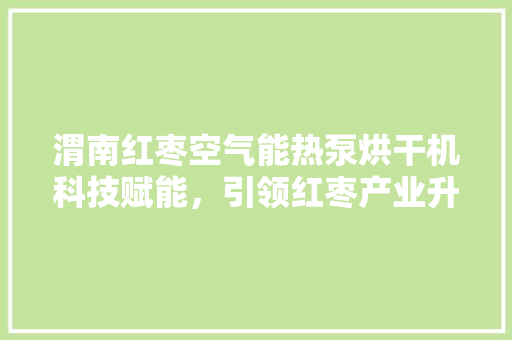 渭南红枣空气能热泵烘干机科技赋能，引领红枣产业升级