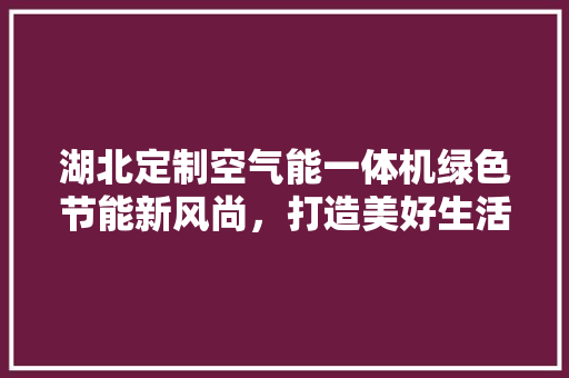 湖北定制空气能一体机绿色节能新风尚，打造美好生活空间