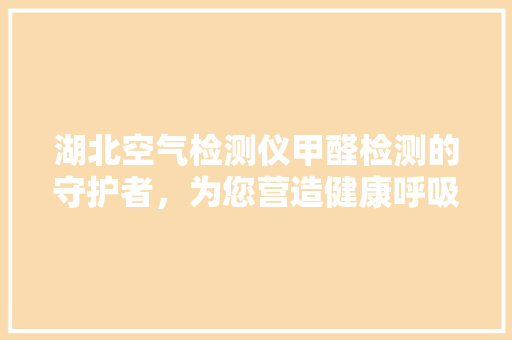湖北空气检测仪甲醛检测的守护者，为您营造健康呼吸环境