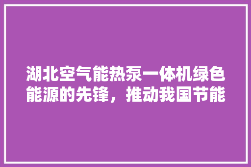 湖北空气能热泵一体机绿色能源的先锋，推动我国节能减排新篇章