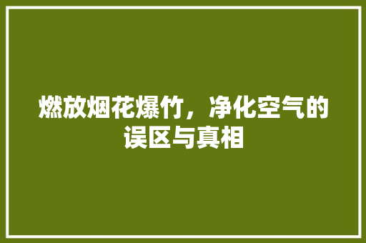 燃放烟花爆竹，净化空气的误区与真相