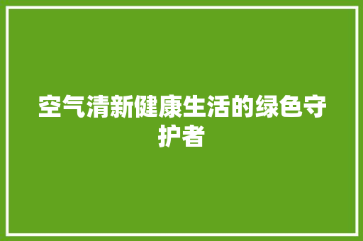 空气清新健康生活的绿色守护者