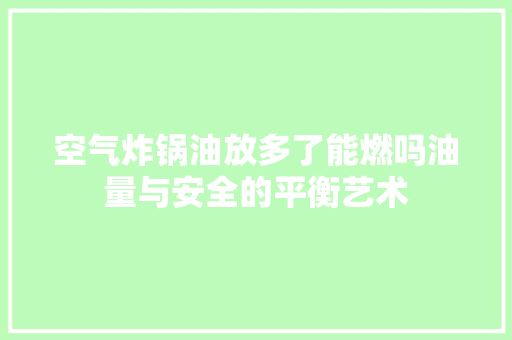 空气炸锅油放多了能燃吗油量与安全的平衡艺术