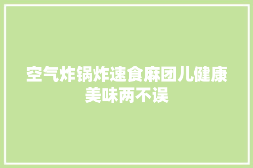 空气炸锅炸速食麻团儿健康美味两不误