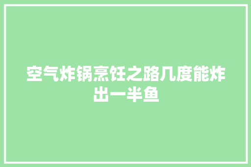 空气炸锅烹饪之路几度能炸出一半鱼