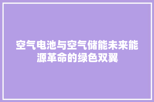 空气电池与空气储能未来能源革命的绿色双翼