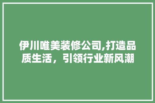 伊川唯美装修公司,打造品质生活，引领行业新风潮 伊川唯美装修公司,打造品质生活，引领行业新风潮 厨房维修