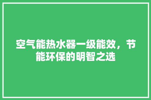 空气能热水器一级能效，节能环保的明智之选