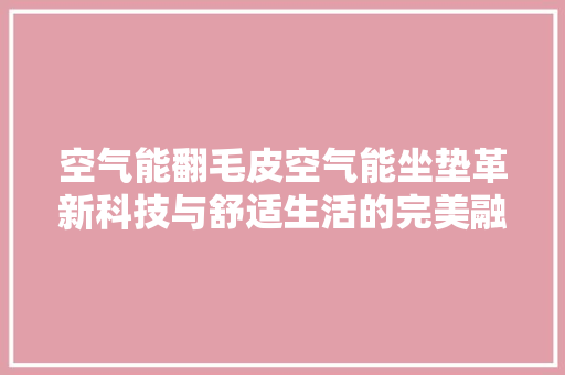 空气能翻毛皮空气能坐垫革新科技与舒适生活的完美融合