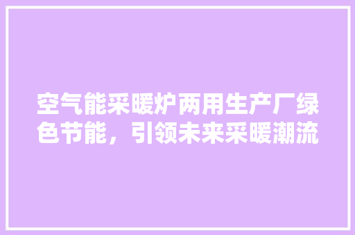 空气能采暖炉两用生产厂绿色节能，引领未来采暖潮流