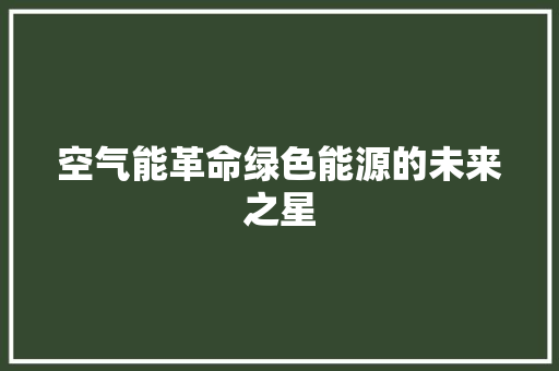 空气能革命绿色能源的未来之星