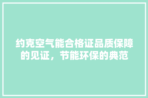约克空气能合格证品质保障的见证，节能环保的典范