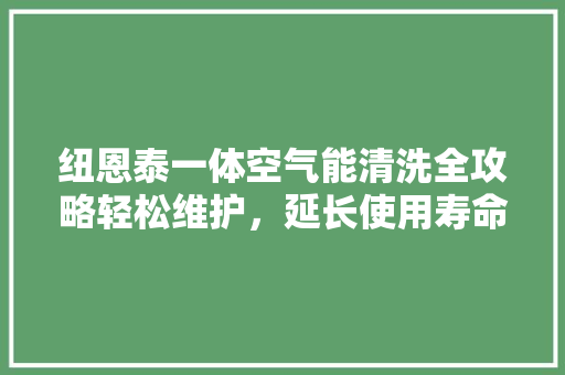 纽恩泰一体空气能清洗全攻略轻松维护，延长使用寿命