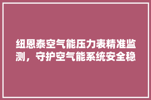 纽恩泰空气能压力表精准监测，守护空气能系统安全稳定运行