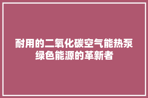 耐用的二氧化碳空气能热泵绿色能源的革新者 墙体维修